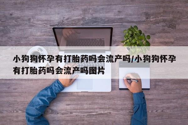 打胎药在线购买微信在线下单小狗狗怀孕有打胎药吗会流产吗/小狗狗怀孕有打胎药吗会流产吗图片