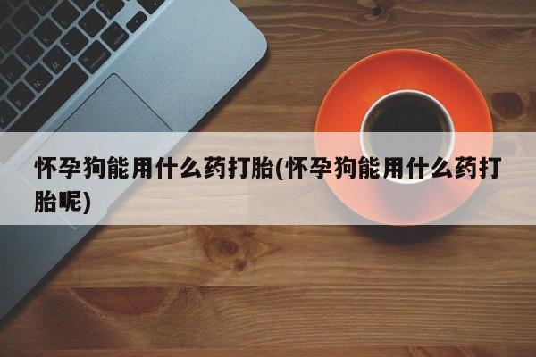 打胎药在线购买微信在线下单怀孕狗能用什么药打胎(怀孕狗能用什么药打胎呢)
